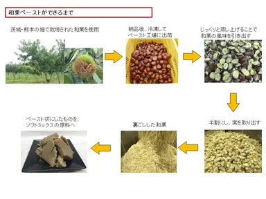 和栗ペーストができるまで