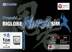 BIGLOBE NINJA SIM 1GB
