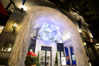 CRYSTAL of “New Birth”