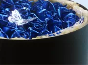 BOXアレンジメント ～青い煌薔薇～(L)1