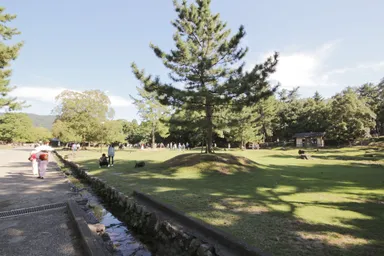 周辺ロケーション：奈良公園