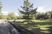 周辺ロケーション：奈良公園