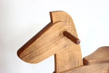 気品ある馬のたてがみ