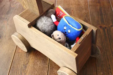 たくさん入る収納部分