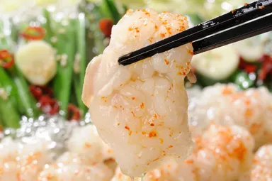 ぷりっぷりの特上トロホルモン