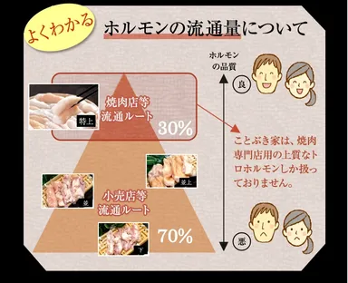 よくわかるホルモンの流通量について