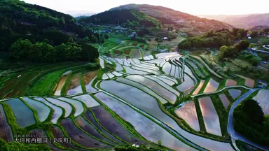 動画イメージ(大垪和西棚田)