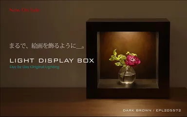 LIGHT DISPLAY BOX