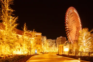 スペシャル　イルミネーション