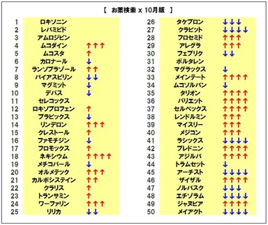 お薬検索ランキング