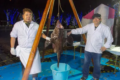 あんこう吊し切り