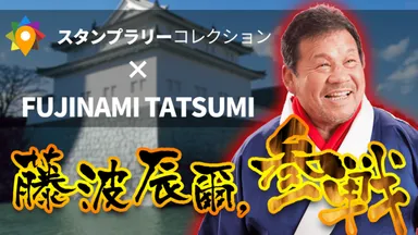 FUJINAMI TATSUMIコラボ