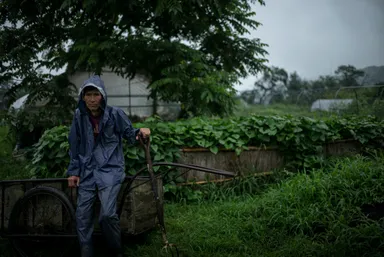 展示写真イメージ1