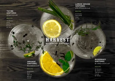 ボタニカルジントニック