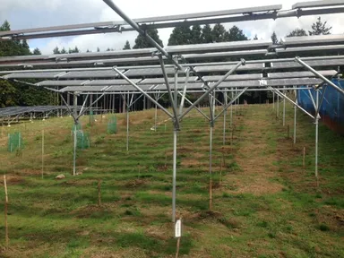 下部ではブルーベリーが栽培される