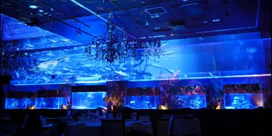 アクアリウム×プロジェクションマッピングのイメージ1