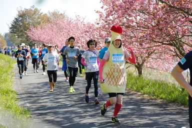 東北風土マラソン 2