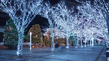 公開空地のイルミネーション