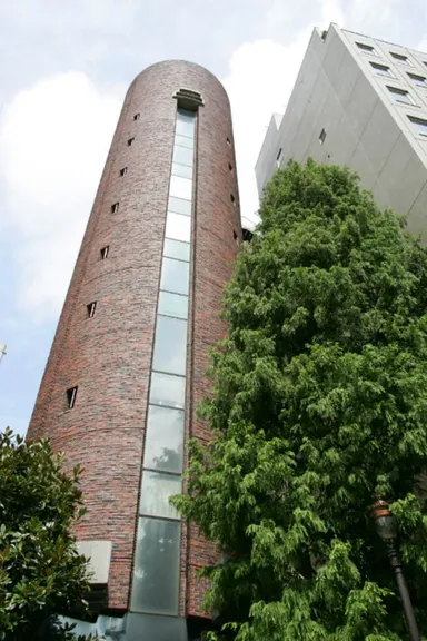 菊星の名物「メタセコイヤ」