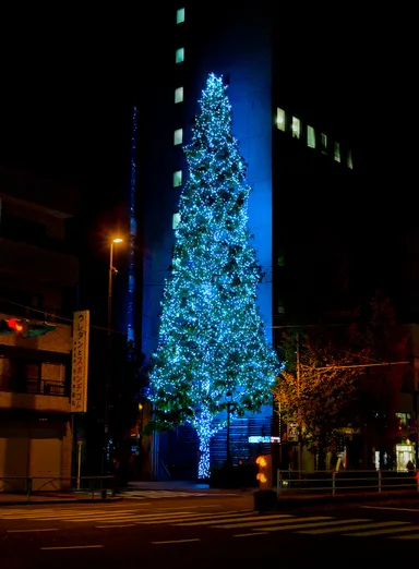 ライトアップの様子2