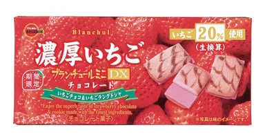 ブランチュールミニDX濃厚いちごチョコレート