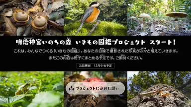 いきもの図鑑プロジェクト1