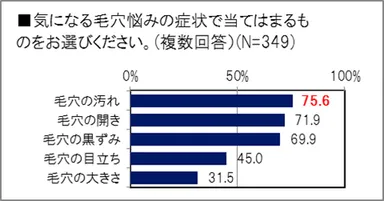 ［グラフ］毛穴の悩みの症状