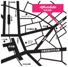 『Aphrodite 渋谷本店』MAP