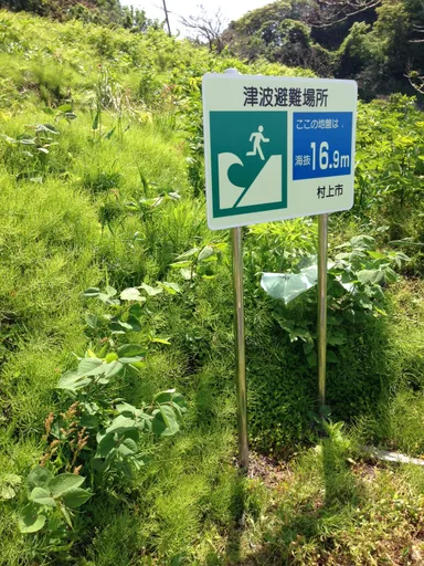 津波避難看板