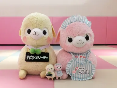 特大サイズの「新生姜アルパカッソ」と「オリーチェアルパカッソ」