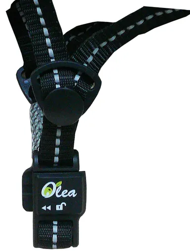 マグネットバックル