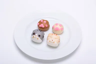 スコティッシュフォールドまんじゅう3