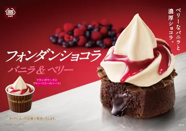 フォンダンショコラ　バニラ＆ベリーイメージ