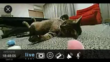 『I.C.E360』見守り中継時のスマホ画面例