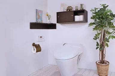 シェルティとトイレ