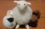 羊毛クラフト羊のマスコット人形（全種類）