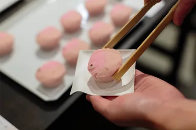 HIYORIKA お披露目会の様子6