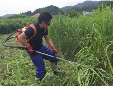 社員自ら草刈り