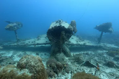 二式水戦(正面)