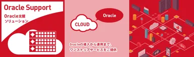 Oracle支援ソリューション イメージ