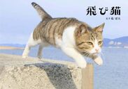 飛び猫写真集(KADOKAWA)　1,200円＋税