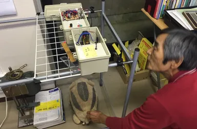 イノシシ捕獲装置