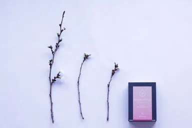 季節限定手作り石けん『さくら』3