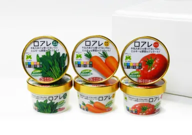 【発酵野菜のジェラート】6個入りロアレ　ジェラートセット