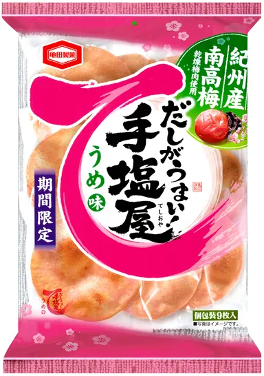 9枚 手塩屋 うめ味