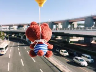 ティニー、おおきい道路にやってきた。