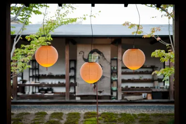 ICHI-GO(MICシリーズ)