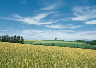 設置場所イメージ