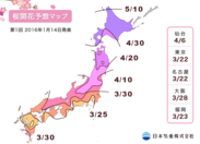 2016年第1回桜開花予想マップ