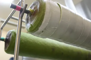 カットされたバウムクーヘン